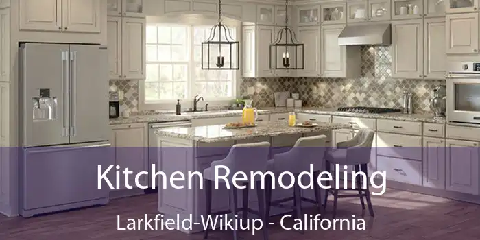 Kitchen Remodeling Larkfield-Wikiup - California