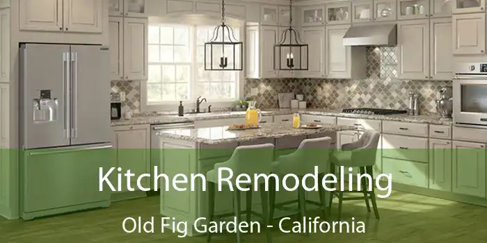 Kitchen Remodeling Old Fig Garden - California