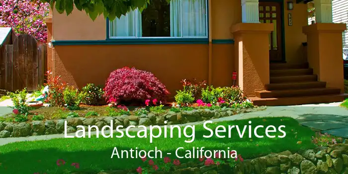 Landscaping Services Antioch - California