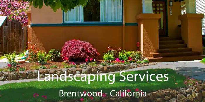 Landscaping Services Brentwood - California