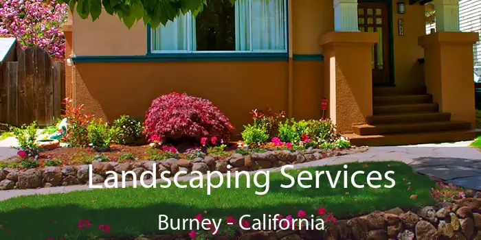 Landscaping Services Burney - California