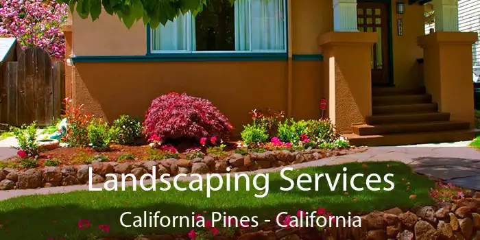 Landscaping Services California Pines - California