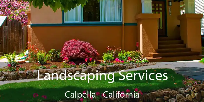 Landscaping Services Calpella - California