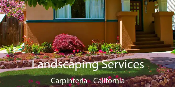 Landscaping Services Carpinteria - California