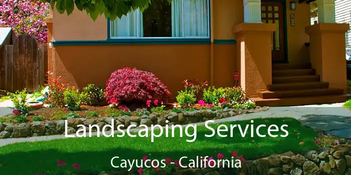 Landscaping Services Cayucos - California