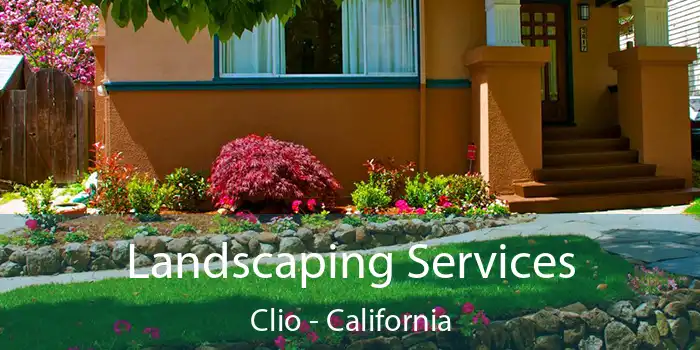 Landscaping Services Clio - California