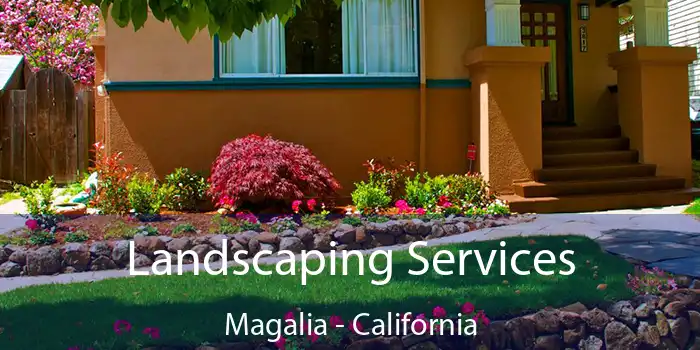 Landscaping Services Magalia - California