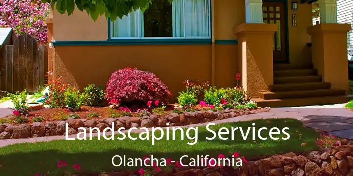 Landscaping Services Olancha - California