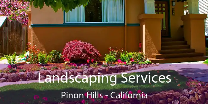 Landscaping Services Pinon Hills - California