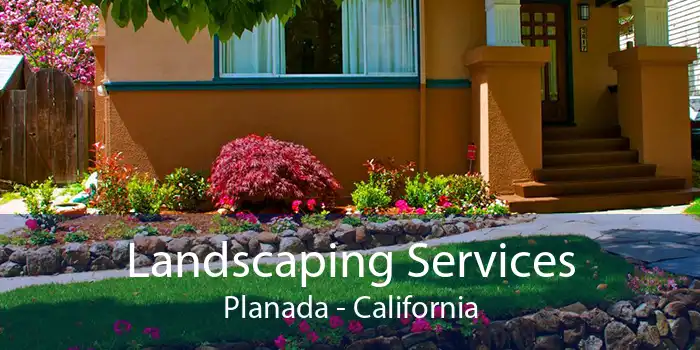 Landscaping Services Planada - California