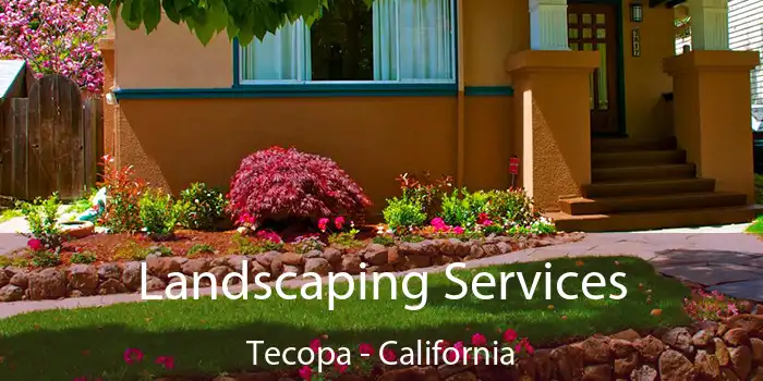 Landscaping Services Tecopa - California