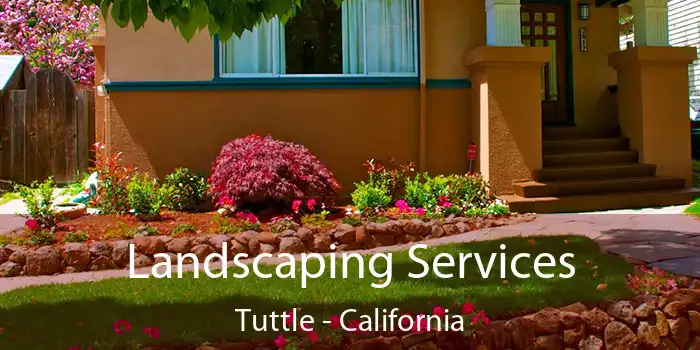 Landscaping Services Tuttle - California