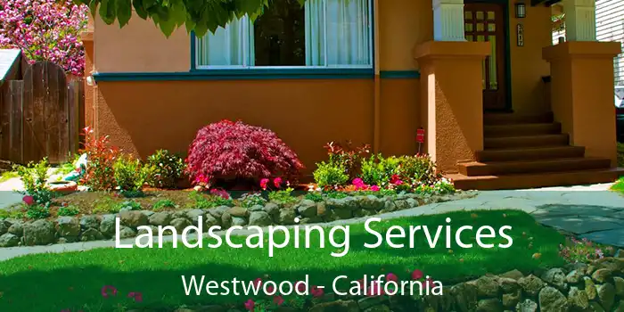 Landscaping Services Westwood - California