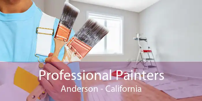 Professional Painters Anderson - California