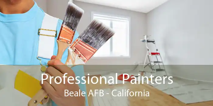 Professional Painters Beale AFB - California