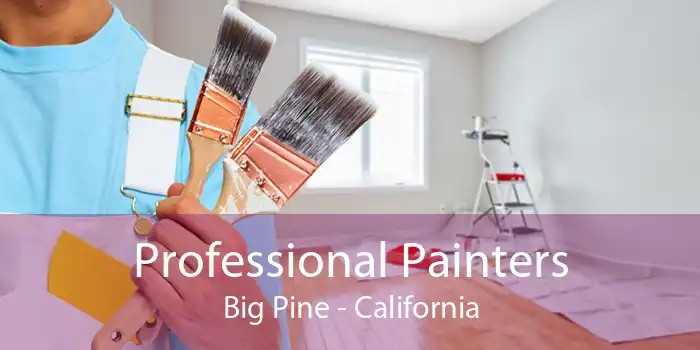 Professional Painters Big Pine - California