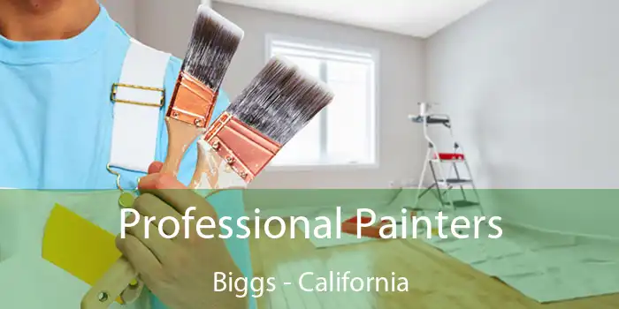 Professional Painters Biggs - California