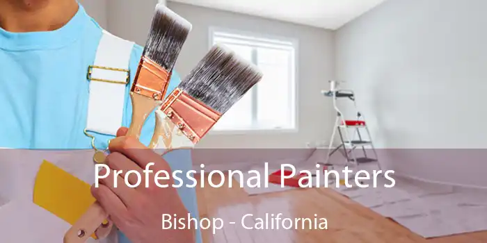 Professional Painters Bishop - California