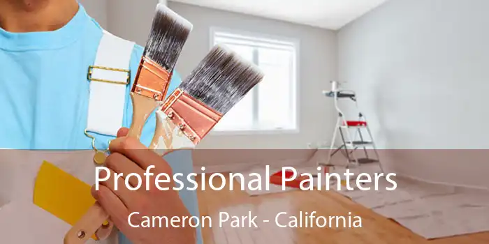 Professional Painters Cameron Park - California