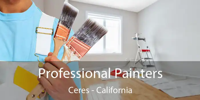 Professional Painters Ceres - California