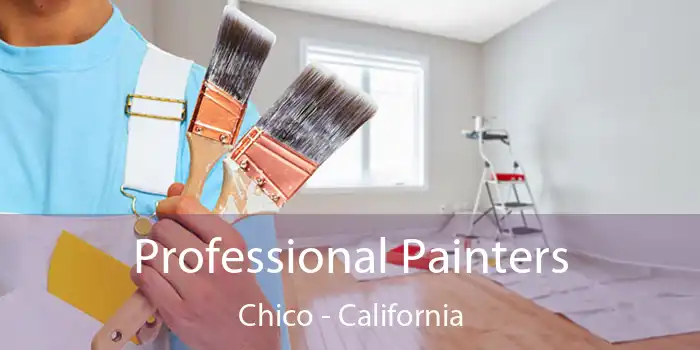 Professional Painters Chico - California