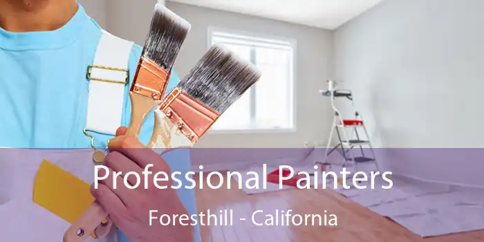 Professional Painters Foresthill - California