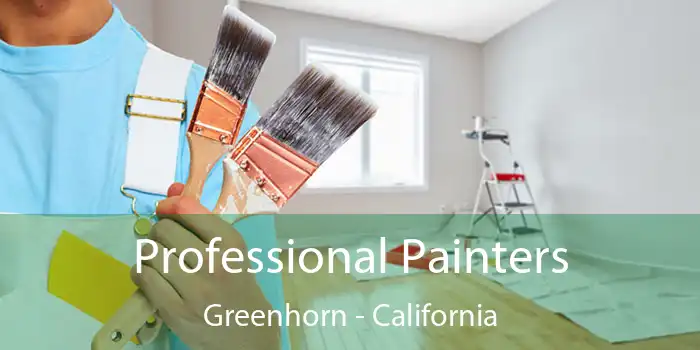 Professional Painters Greenhorn - California