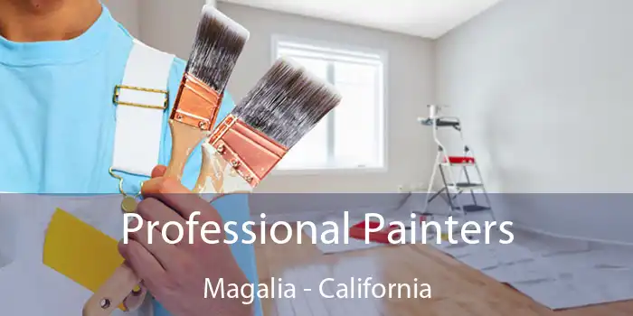 Professional Painters Magalia - California