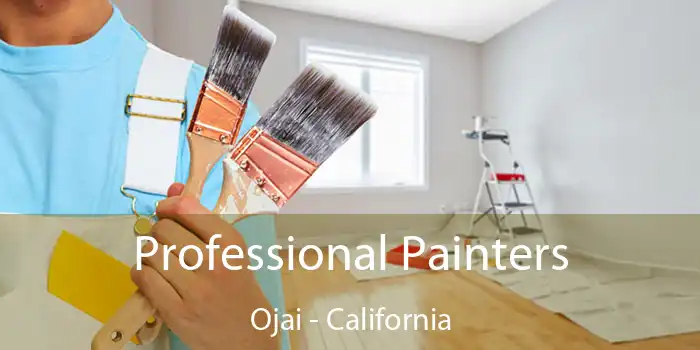 Professional Painters Ojai - California