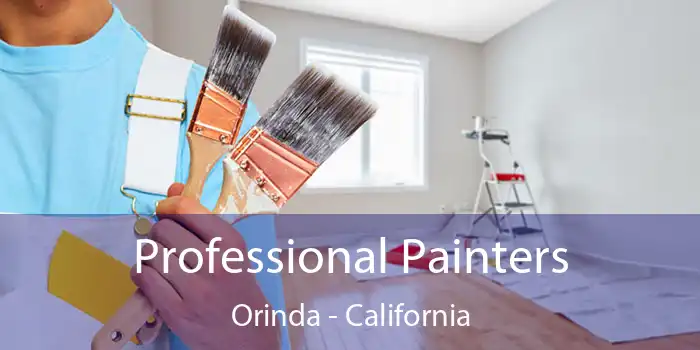 Professional Painters Orinda - California