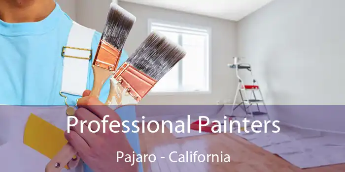 Professional Painters Pajaro - California