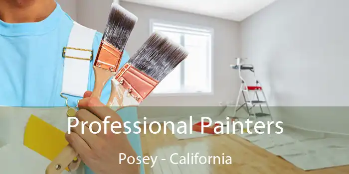 Professional Painters Posey - California