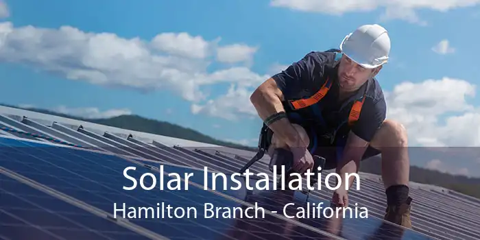 Solar Installation Hamilton Branch - California
