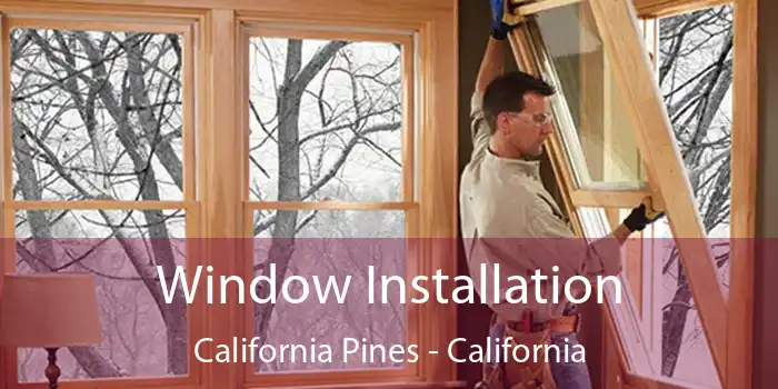 Window Installation California Pines - California