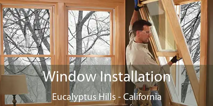 Window Installation Eucalyptus Hills - California