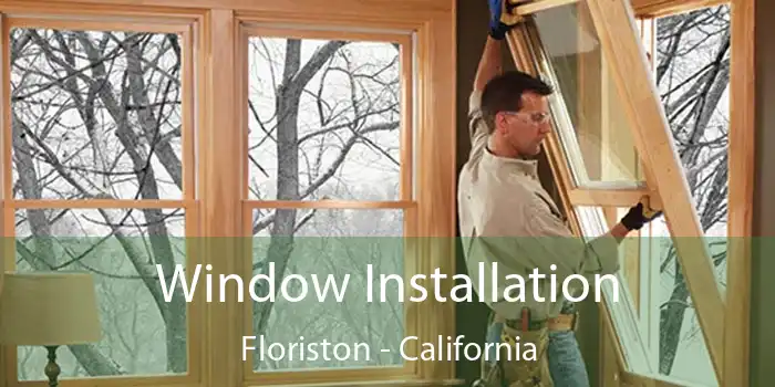 Window Installation Floriston - California