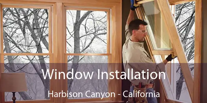 Window Installation Harbison Canyon - California