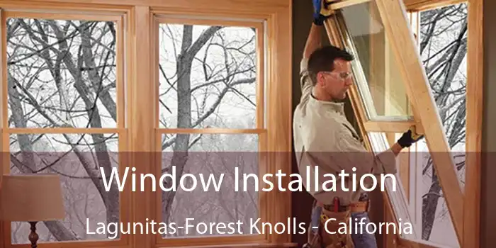 Window Installation Lagunitas-Forest Knolls - California