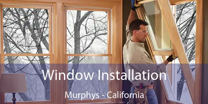 Window Installation Murphys - California