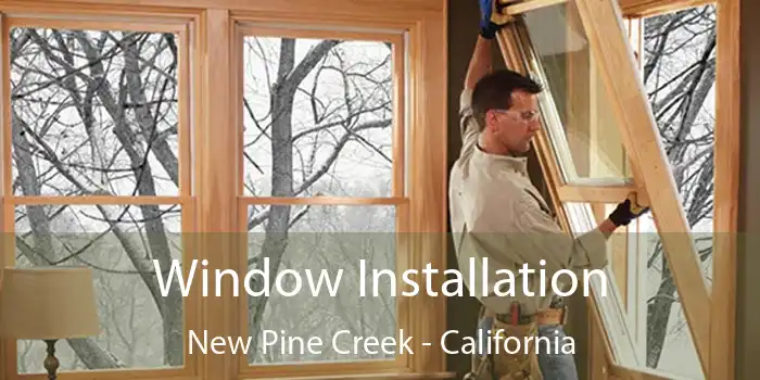 Window Installation New Pine Creek - California