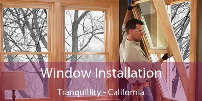 Window Installation Tranquillity - California