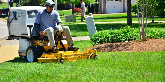 Lawn Cutting Service in Clarksburg